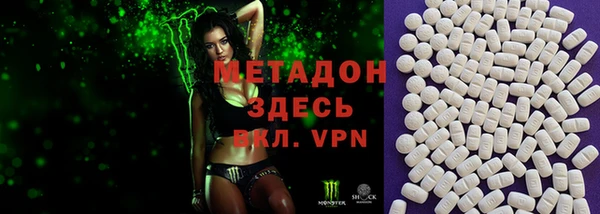 стаф Алзамай