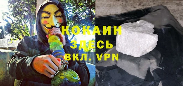 стаф Алзамай