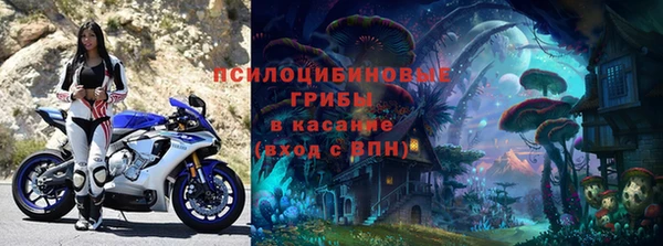 стаф Алзамай