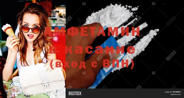 стаф Алзамай