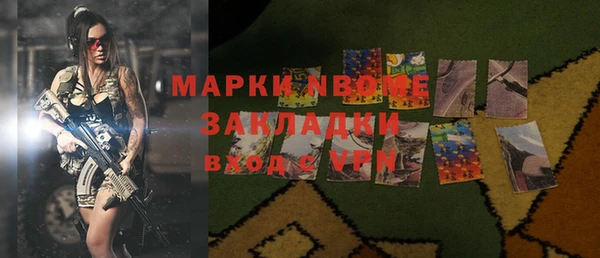 шишки Аркадак