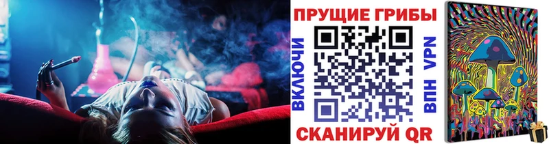где купить наркоту  Добрянка  Псилоцибиновые грибы MAGIC MUSHROOMS 